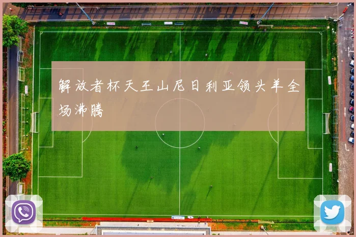 解放者杯天王山尼日利亚领头羊全场沸腾