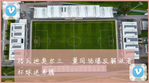 格瓦迪奥尔三笘薰同场爆发解放者杯球迷沸腾