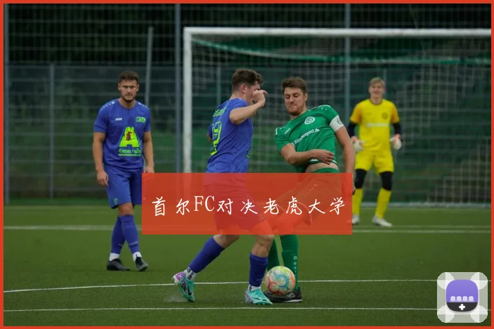 首尔FC对决老虎大学