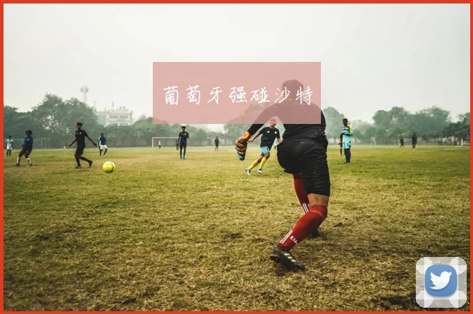 葡萄牙强碰沙特