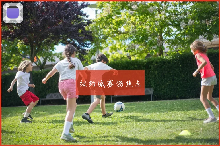 纽约城赛场焦点