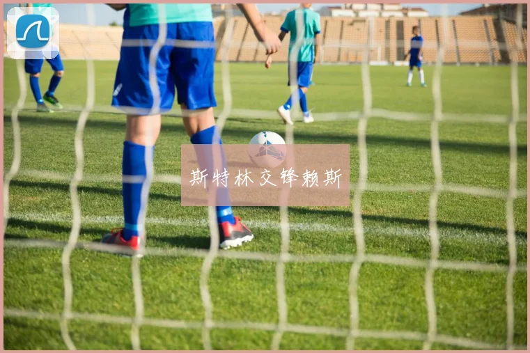斯特林交锋赖斯