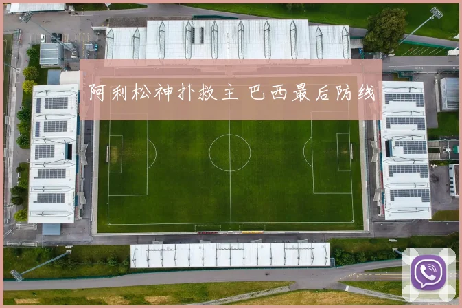 阿利松神扑救主 巴西最后防线