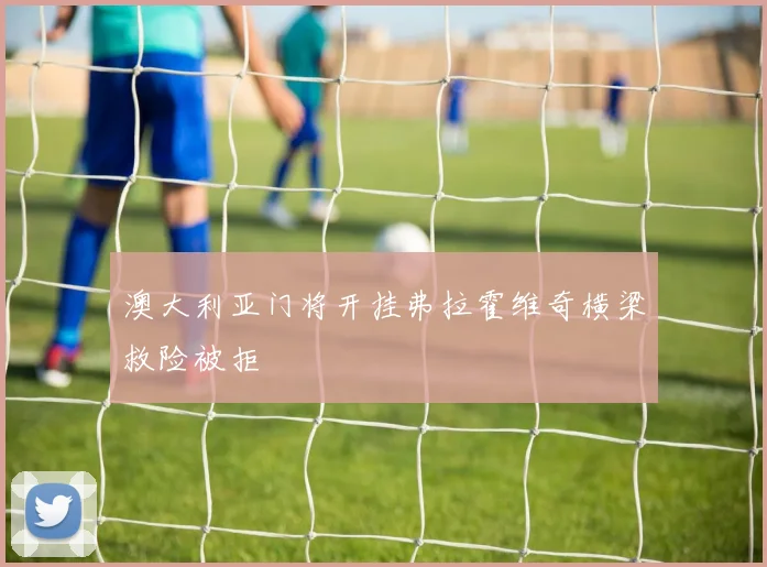澳大利亚门将开挂弗拉霍维奇横梁救险被拒