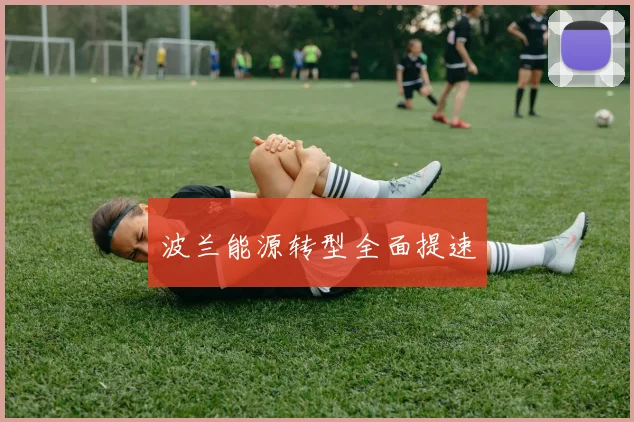 波兰能源转型全面提速