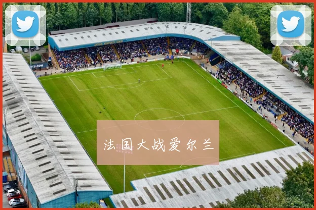 法国大战爱尔兰