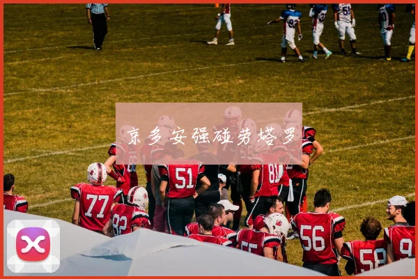 京多安强碰劳塔罗