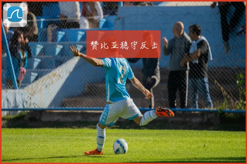 赞比亚稳守反击