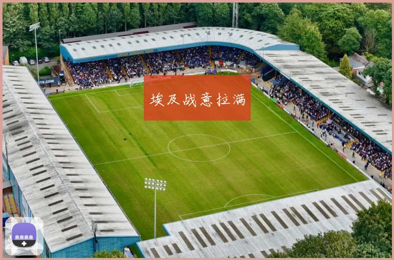 埃及战意拉满