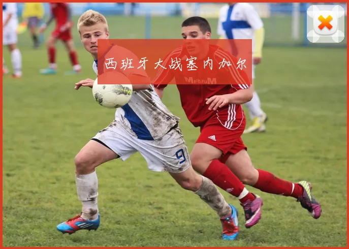 西班牙大战塞内加尔