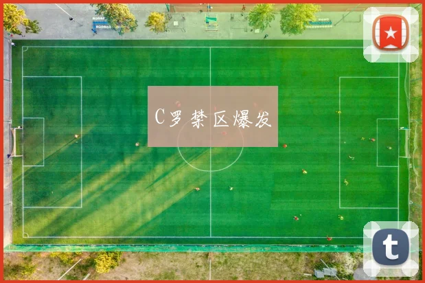 C罗禁区爆发