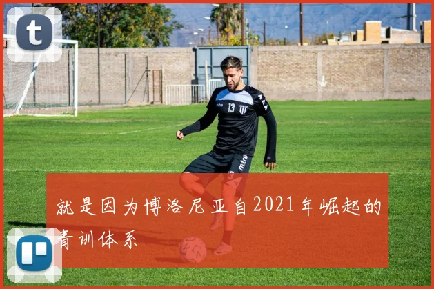 就是因为博洛尼亚自2021年崛起的青训体系