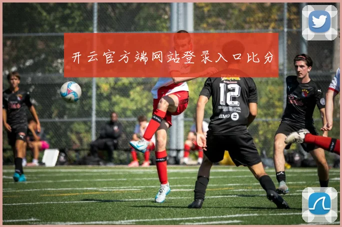 开云官方端网站登录入口比分