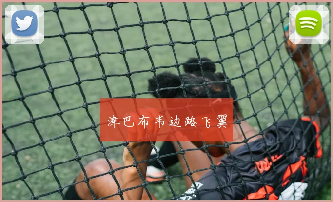 津巴布韦边路飞翼