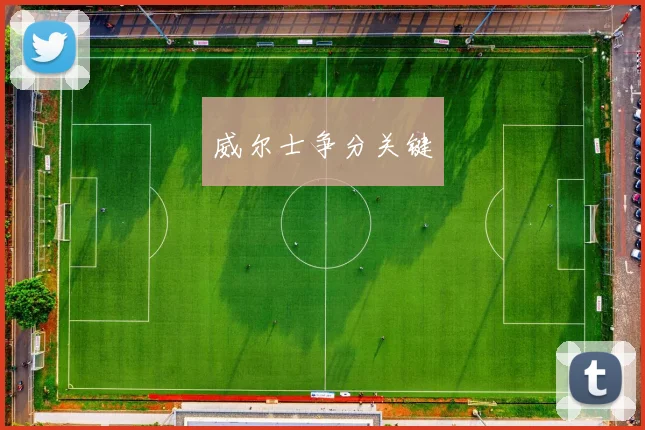 威尔士争分关键