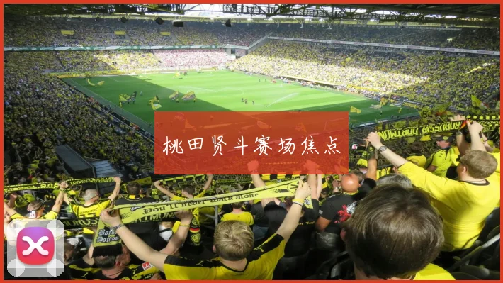 桃田贤斗赛场焦点