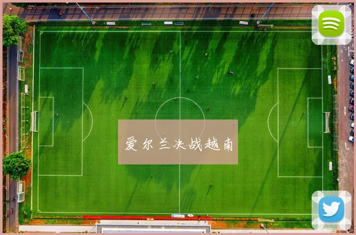 爱尔兰决战越南