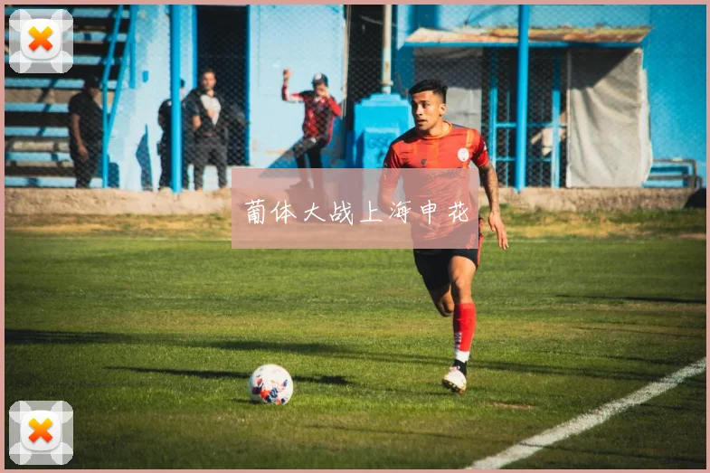 葡体大战上海申花