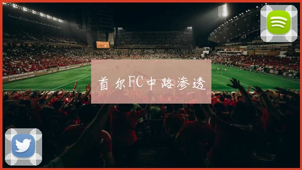 首尔FC中路渗透