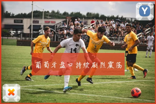 葡萄牙盘口持续剧烈震荡
