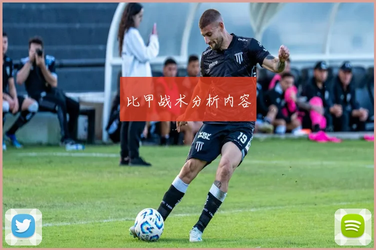 比甲战术分析内容