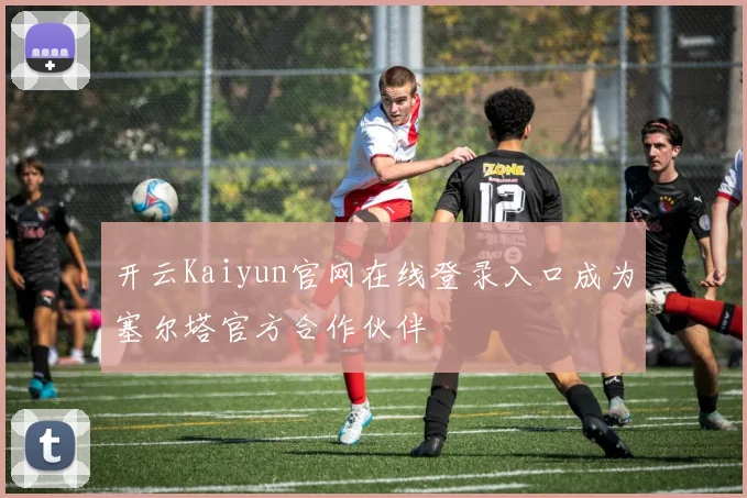 开云Kaiyun官网在线登录入口成为塞尔塔官方合作伙伴