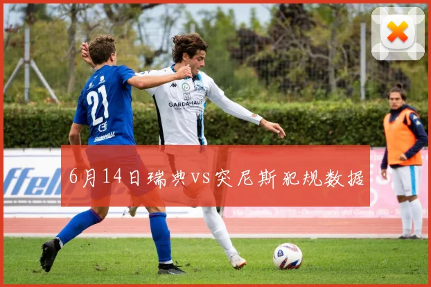 6月14日瑞典vs突尼斯犯规数据