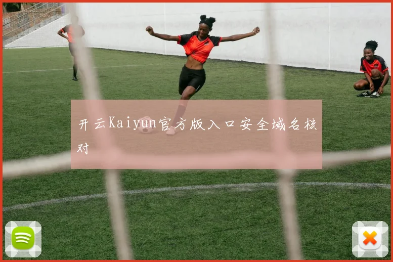 开云Kaiyun官方版入口安全域名核对